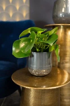 Intratuin TS Blumentopf Ninthe grau D 29 H 25 cm| Blumentöpfe & Pflanzgefäße|Blumentöpfe