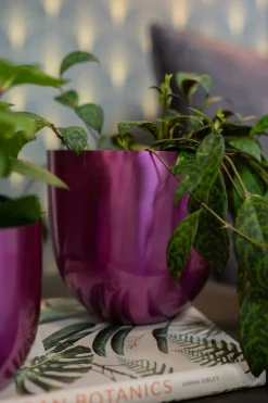 Intratuin TS Blumentopf Nori D 17 H 16 cm violett| Blumentöpfe|Blumentöpfe & Pflanzgefäße