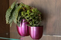 Intratuin TS Blumentopf Nori D 17 H 16 cm violett| Blumentöpfe|Blumentöpfe & Pflanzgefäße