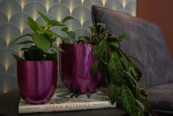 Intratuin TS Blumentopf Nori D 11 H 11 cm violett| Blumentöpfe|Blumentöpfe & Pflanzgefäße