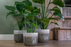 Intratuin TS Blumentopf Tara grün / grau D 26 H 23 cm| Blumentöpfe|Blumentöpfe & Pflanzgefäße