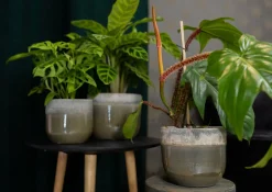 Intratuin TS Blumentopf Tara grün / grau D 26 H 23 cm| Blumentöpfe|Blumentöpfe & Pflanzgefäße