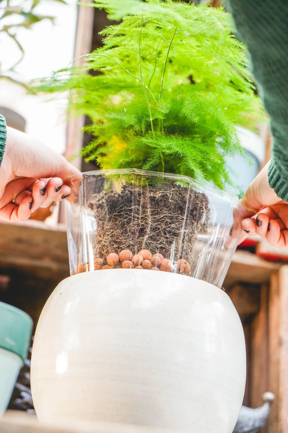 Intratuin TS Pflanztopf Lucas transparent D 32 H 24 cm| Pflanztöpfe