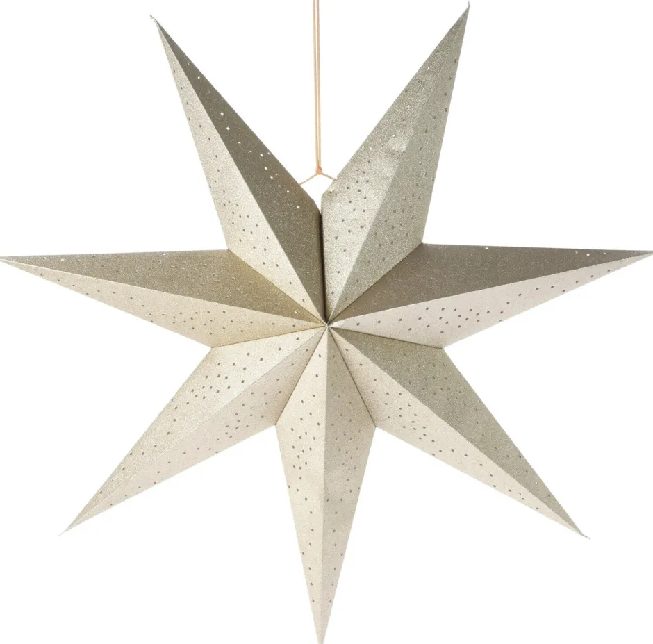 Intratuin Weihnachtsstern creme D 75 H 10 cm| Weihnachtssterne