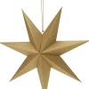Intratuin Weihnachtsstern Papy gold 60 x 15 x 60 cm| Weihnachtssterne