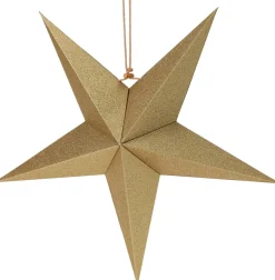 Intratuin Weihnachtsstern Papy gold 45 x 14 x 45 cm| Weihnachtssterne
