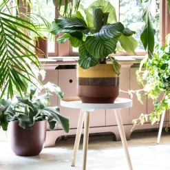 Intratuin WOOOD Beistelltisch Sasha weiß D 41 H 41 cm| Beistelltische|Beistelltische